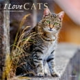 thumbnail image 1 of I Love Cats | 2026 12x24" (Hanging) Monthly Square Wall Calendar | Plato, 1 of 9