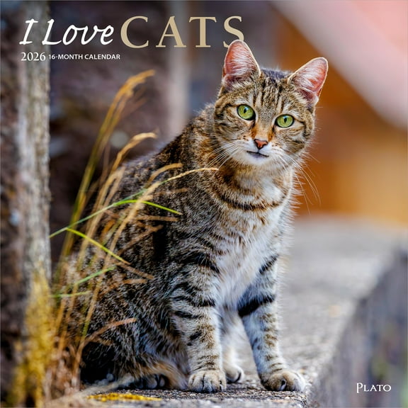 I Love Cats | 2026 12x24" (Hanging) Monthly Square Wall Calendar | Plato