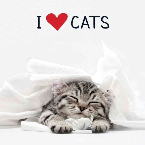 I Love Cats (Hardcover)