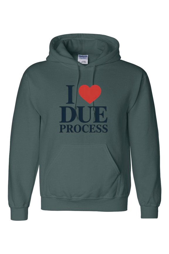 I Love Due Process Justice Law Legal Rights Equality Graphic Pullover Hoodie, up to size 5XL