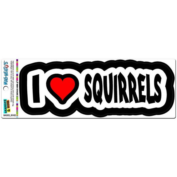 I Love Heart Squirrels MAG-NEATO'S(TM) Car/Refrigerator Magnet