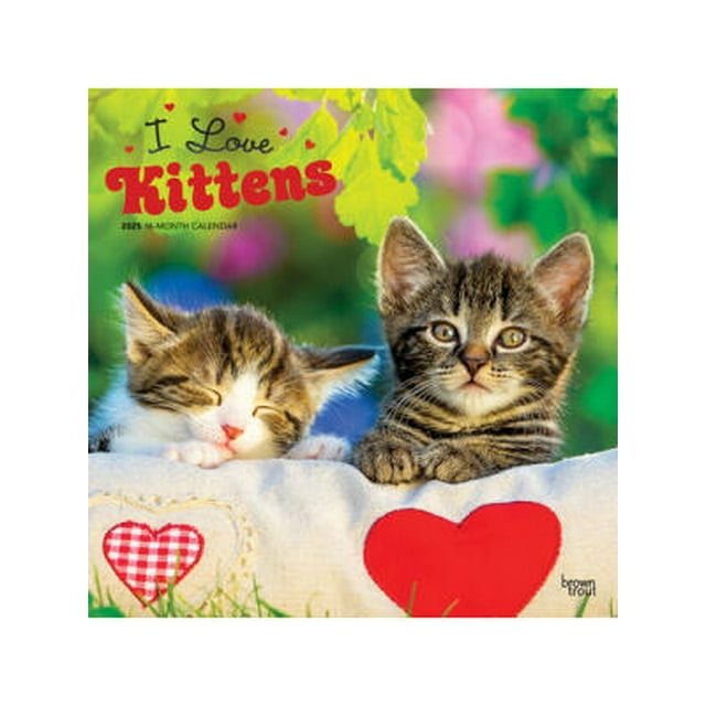 I Love Kittens 2025 12 X 24 Inch Monthly Square Wall Calendar Plastic