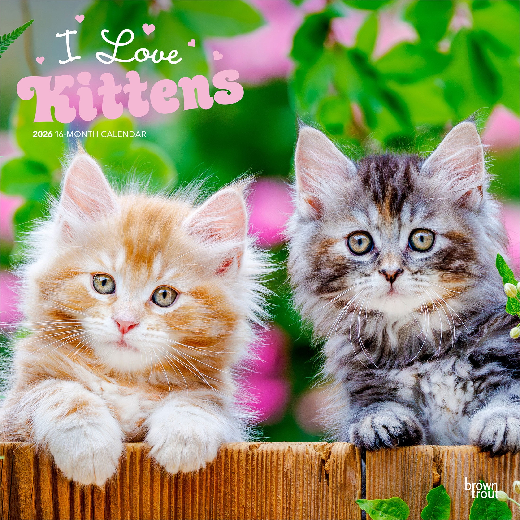 I Love Kittens | 2026 12x24" (Hanging) Square Wall Calendar | Plastic ...