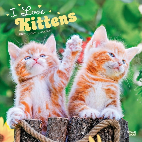 I Love Kittens | 2027 12x24" (Hanging) Wall Calendar | Plastic-Free | BrownTrout