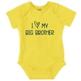 thumbnail image 1 of I Love My Big Brother Younger Sibling Romper Boys or Girls Infant Baby Brisco Brands 12M, 1 of 6