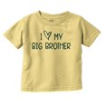 thumbnail image 1 of I Love My Big Brother Younger Sibling Toddler Boy Girl T Shirt Infant Toddler Brisco Brands 12M, 1 of 6