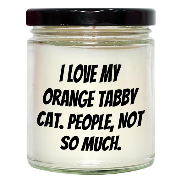 I Love My Orange Tabby Cat, People Not So Much, Funny Gift for Orange Tabby Cat Lovers on Valentine's Day, 9oz Vanilla Soy Candle