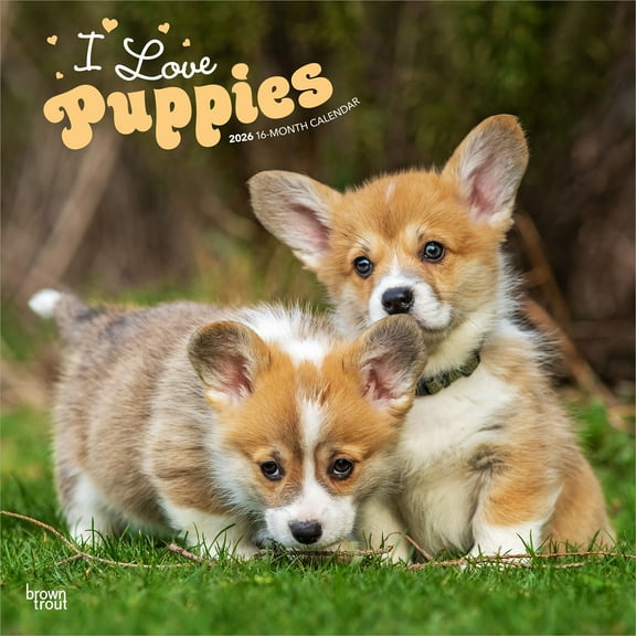 I Love Puppies | 2026 12x24" (Hanging) Wall Calendar | Plastic-Free | BrownTrout
