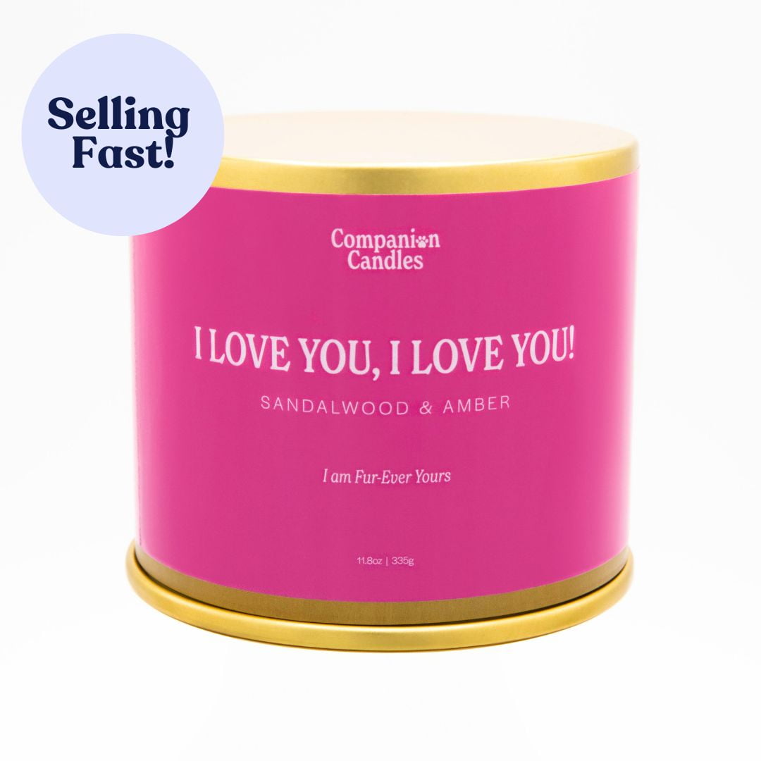 Companion Candles Candle - Thumbnail 4
