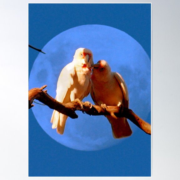 I Love You Poster Wall Art, Modern Wall Decor For Living Room Bedroom, 8x12 UNFRAMED