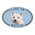 thumbnail image 1 of I Love my Westie Breed Oval Magnet, 1 of 3