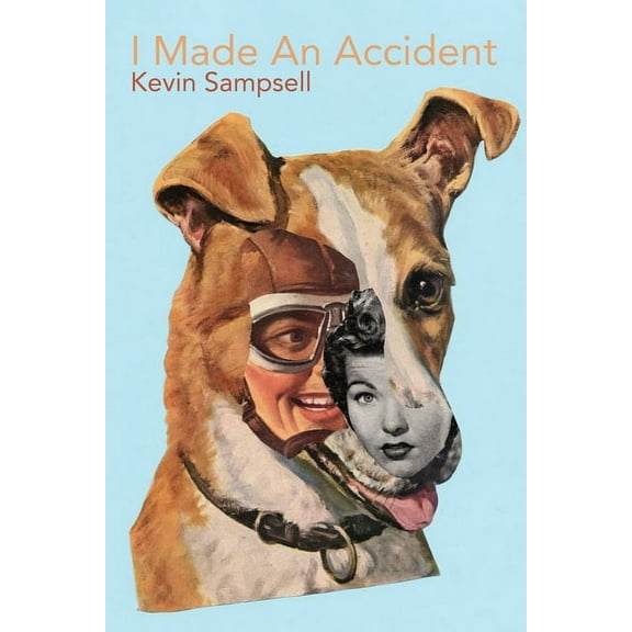 I Made an Accident, (Paperback)