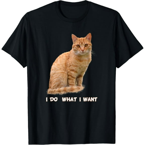 I Make What I Want Funny Orange Tabby Cat Lovers T-Shirt Tops Tee