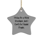 I May Be a Web Developer, but I Can. Star Ornament, Web Developer Present from Coworkers, Funny Christmas Ornament for Men Women, Web Developer Tools, Gifts for Programmers, Computer Science Gifts,