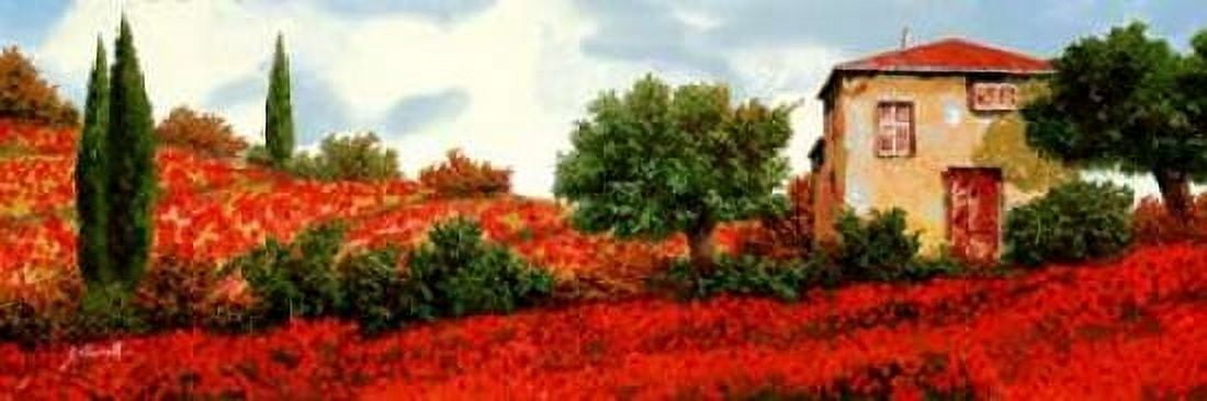 I Papaveri Sulle Colline Canvas Art - Guido Borelli (8 x 24)
