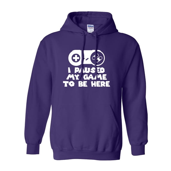 I Paused My Game To Be Here Adult Hooded Sweatshirt