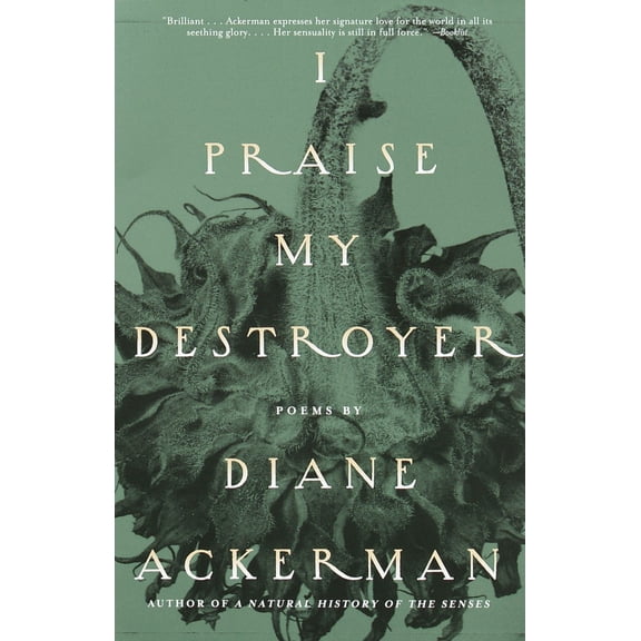I Praise My Destroyer : Poems (Paperback)