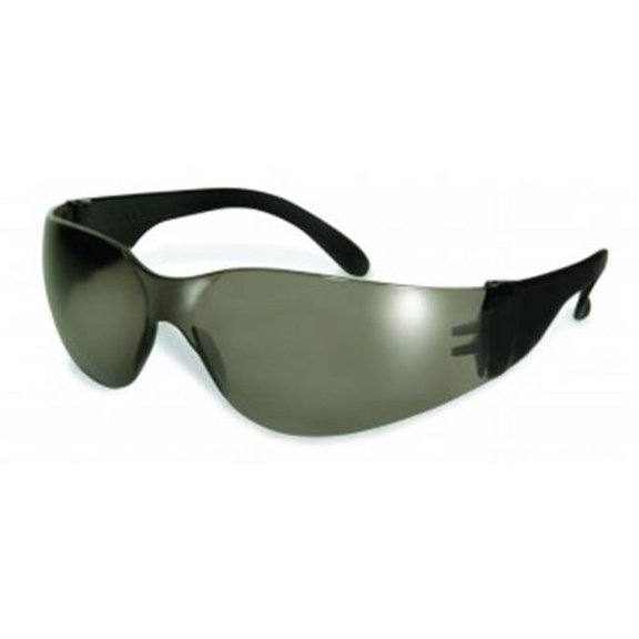 I Pro-Rider  Glasses With Smoke Lens- Set of 12