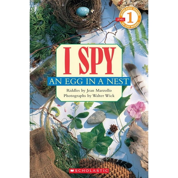 I SPY AN EGG 6X9 ER
