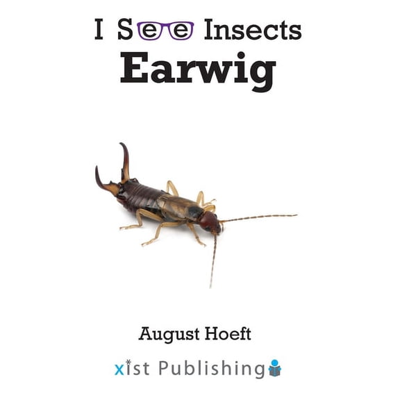 I See Insects Earwig, (Hardcover)