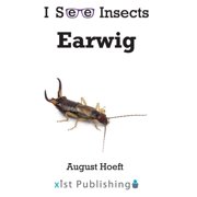 I See Insects Earwig, Paperback