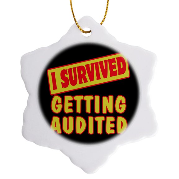 3drose, I Survived Getting Audited Survial Pride and Humor Design, 3 inch Snowflake Porcelain Ornament