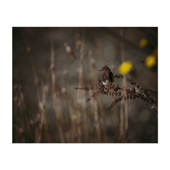 I Tremble at The Thought of You Being Happy - Petaluma California Photography Bird Wildlife Nature Woodland Moody Botanical Autumn Unframed Wall Art Print 12 x 16 inches