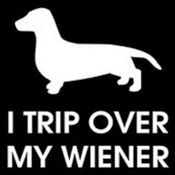 I Trip Over My Wiener Dachshund Vinyl Cut Decal With No Background | 5.5 Inch White Decal | Car Truck Van Wall Laptop Cup