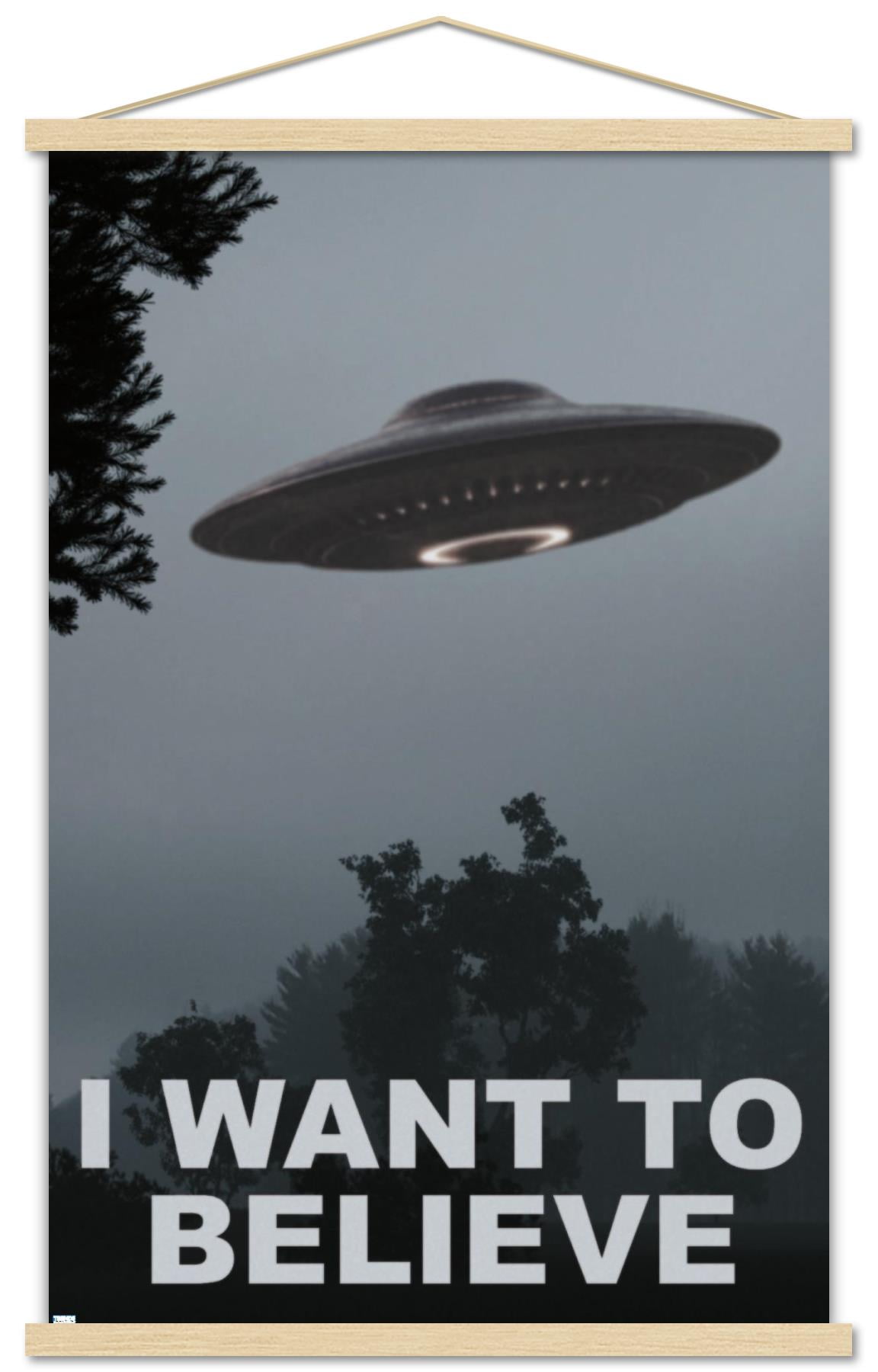 I Want To Believe Wall Poster with Magnetic Frame, 22.375" x 34"