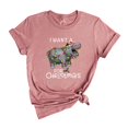 thumbnail image 1 of I Want a Hippo for Christmas Shirt, Funny Christmas Shirt, Cute Hippo Shirt, Hippopotamus Shirt, Christmas Party Tee, Christmas Gift, 1 of 1
