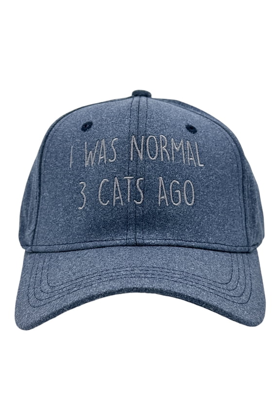 I Was Normal 3 Cats Ago Hat Funny Sarcastic Kitten Lovers Cap