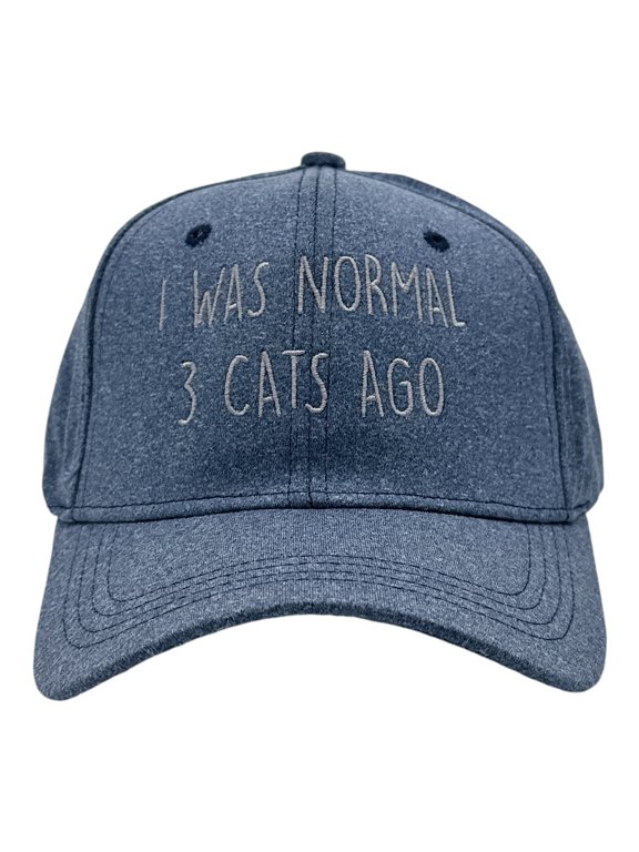 I Was Normal 3 Cats Ago Hat Funny Sarcastic Kitten Lovers Cap