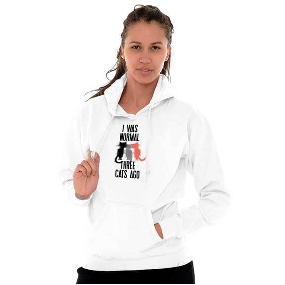 I Was Normal Three Cats Ago Hilarious Hoodie Sweatshirt Women Brisco Brands M