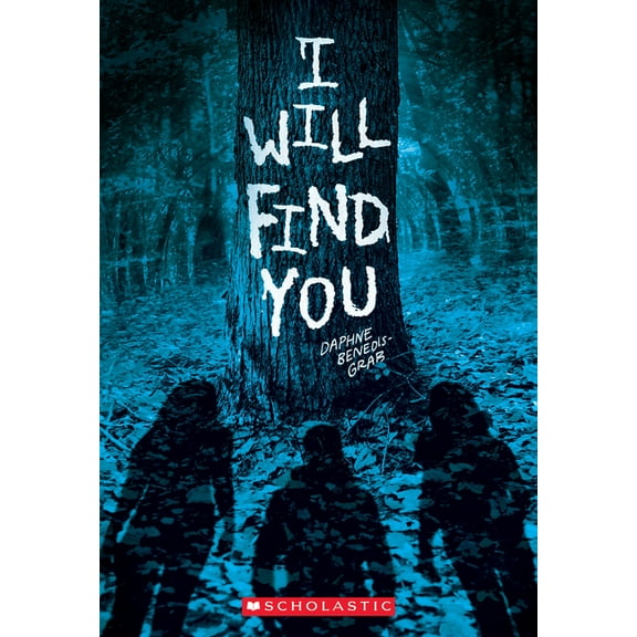 I Will Find You (a Secrets & Lies Novel), (Paperback)