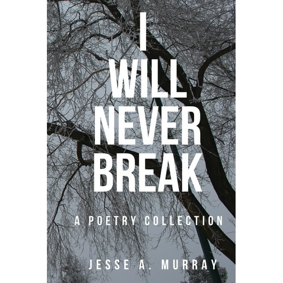 I Will Never Break, (Paperback)