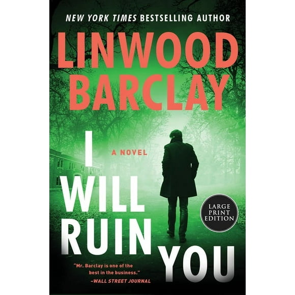 I Will Ruin You, (Paperback)