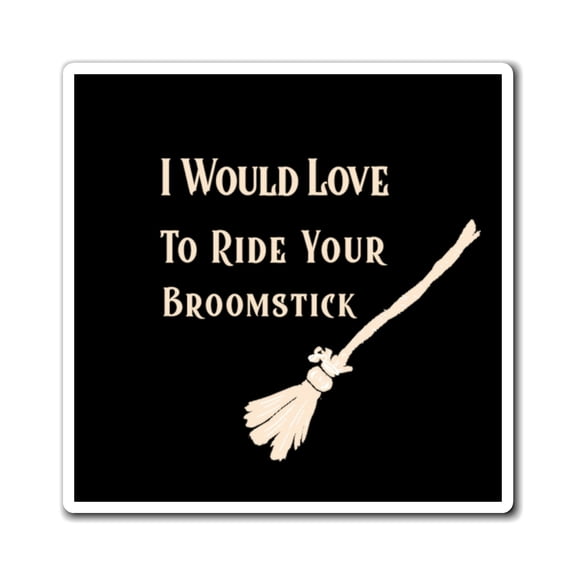 I Would Love to Ride Your Broomstick Witch Magnet