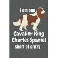 thumbnail image 1 of I am one Cavalier King Charles Spaniel short of crazy : For Cavalier King Charles Spaniel Dog Fans (Paperback), 1 of 1
