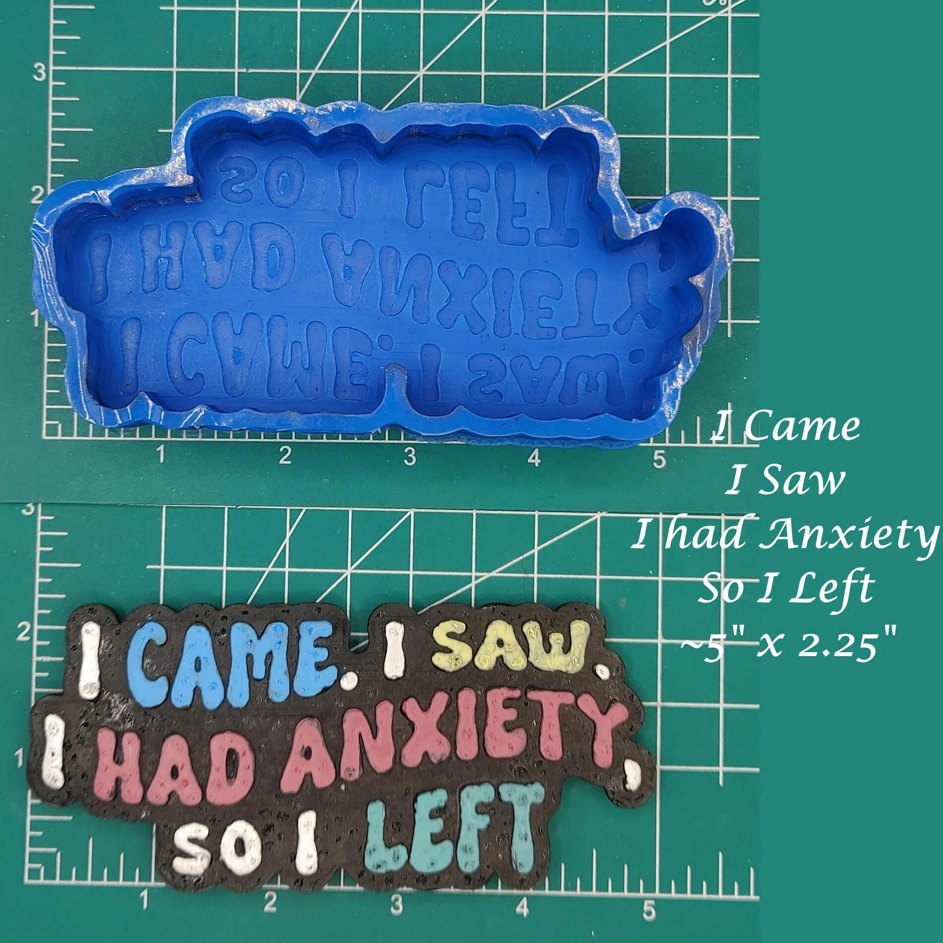 I came, I saw, I had anxiety, so I left Silicone Freshie Mold
