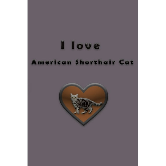I love American Shorthair Cat (Paperback)
