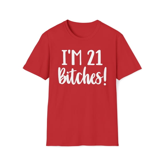 I'm 21 Bitches, Gildan Unisex Softstyle Shirt, Birthday Graphic Tee, S-3XL