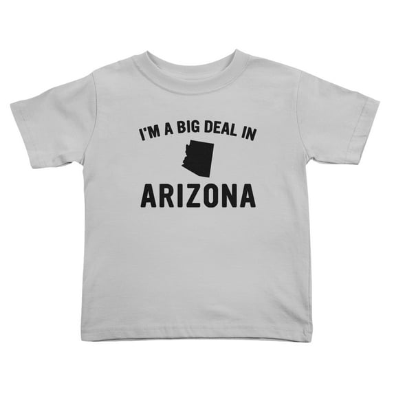 I'm A Big Deal in Arizona Cute Toddler T Shirts for Boys Girls (Gray, Youth L)