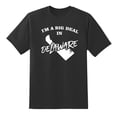 thumbnail image 1 of I'm A Big Deal in Delaware Funny Men or Women Graphic Delaware Map Tee Mens Graphic T Shirts Black,S, 1 of 1