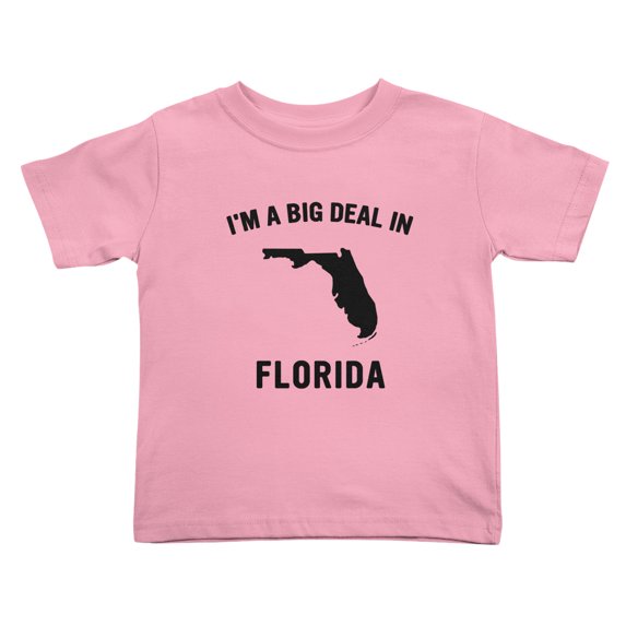 I'm A Big Deal in Florida Cute Toddler T Shirts for Boys Girls (Pink, 5/6T)