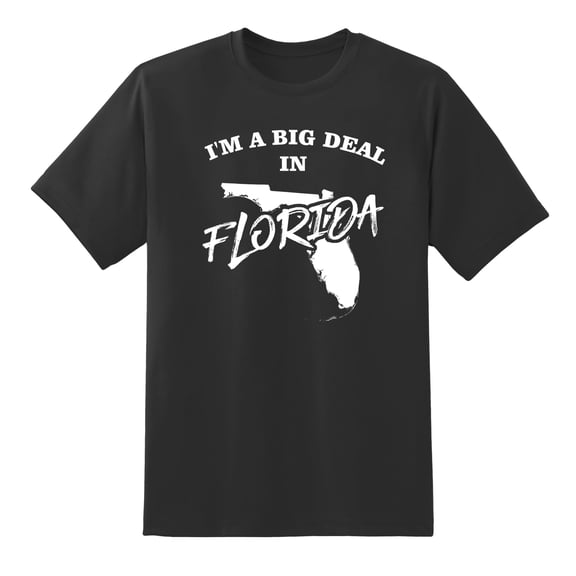 I'm A Big Deal in Florida Funny Men or Women Graphic Florida Map Tee Mens Graphic T Shirts Black,L