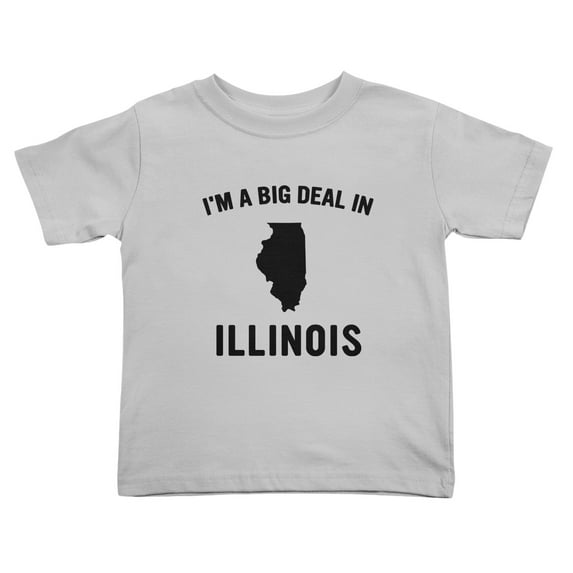 I'm A Big Deal in Illinois Cute Toddler T Shirts for Boys Girls (Gray, 4T)
