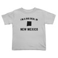 thumbnail image 1 of I'm A Big Deal in New Mexico Cute Toddler T Shirts for Boys Girls (Gray, Youth L), 1 of 5