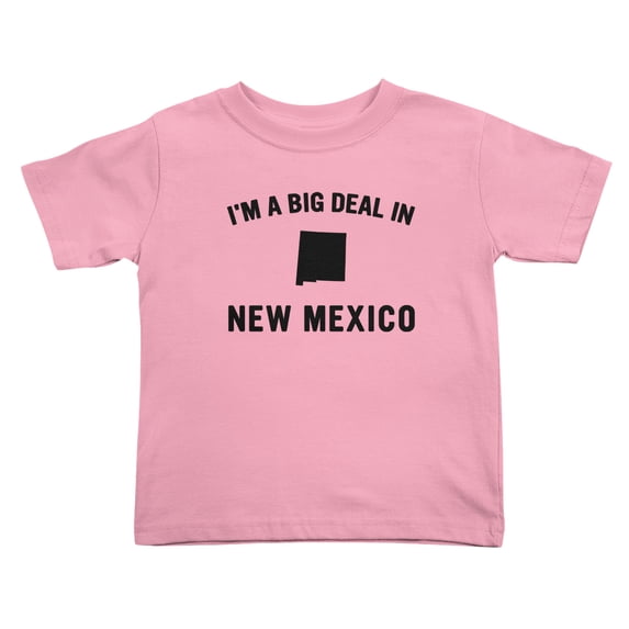 I'm A Big Deal in New Mexico Cute Toddler T Shirts for Boys Girls (Pink, 2T)