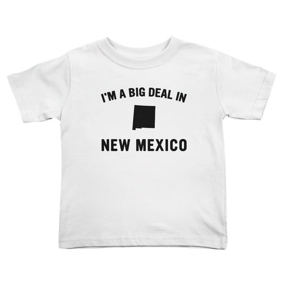 I'm A Big Deal in New Mexico Cute Toddler T Shirts for Boys Girls (White, Youth M)