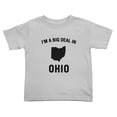thumbnail image 1 of I'm A Big Deal in Ohio Cute Toddler T Shirts for Boys Girls (Gray, Youth L), 1 of 5
